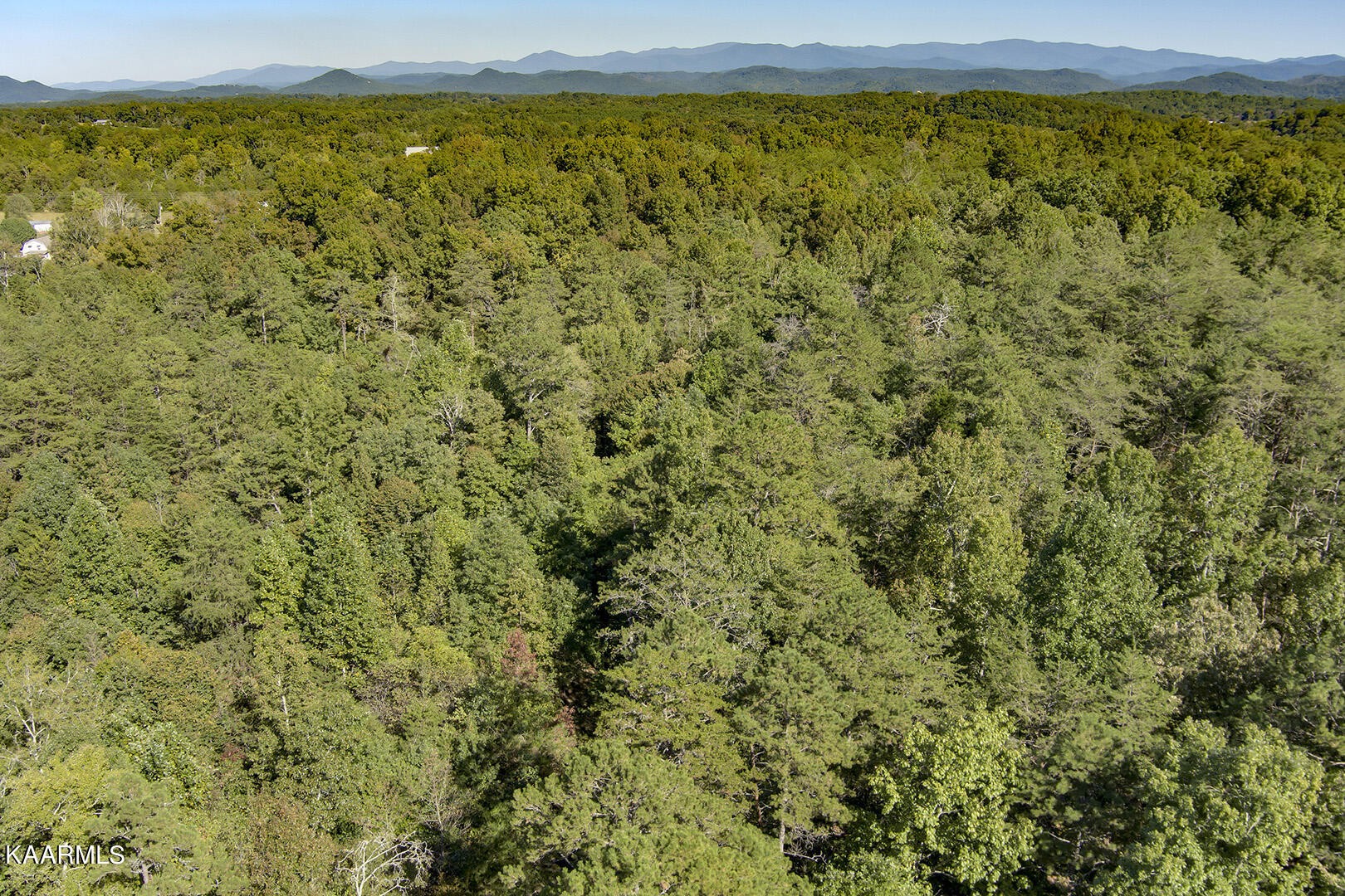 0 Shaddon Road Tellico Plains, TN 37385 - Photo 2 of 17