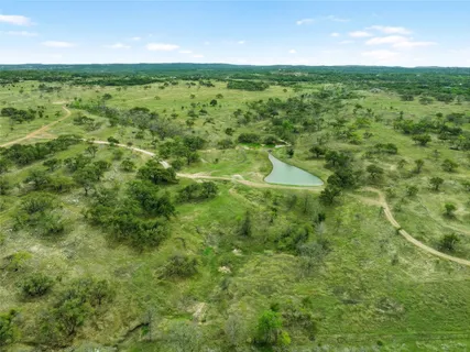 a view of a lush green space