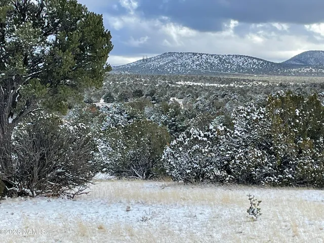 a view of a dry yard