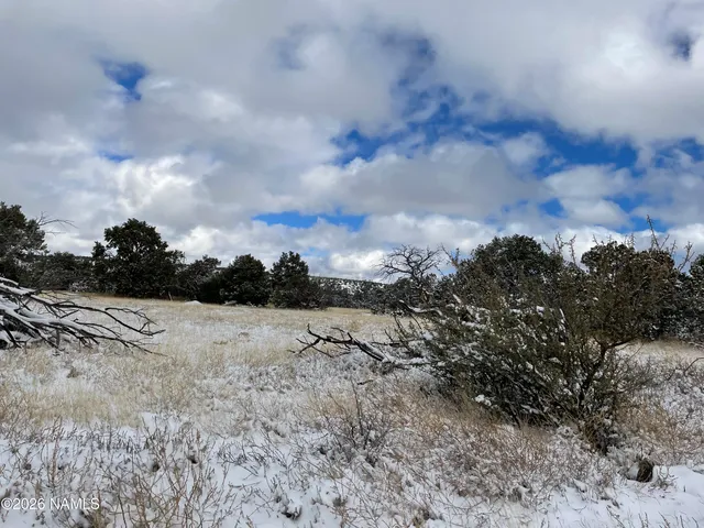 a view of a dry yard with wooden fence
