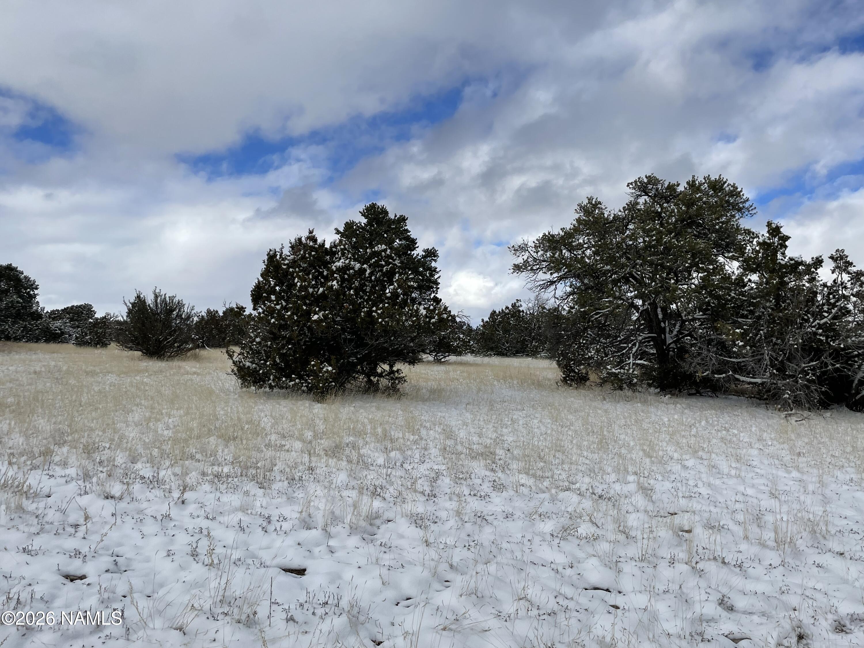 13537 Bly Station Road Williams, AZ 86046 - Photo 14 of 51 IMG_9594