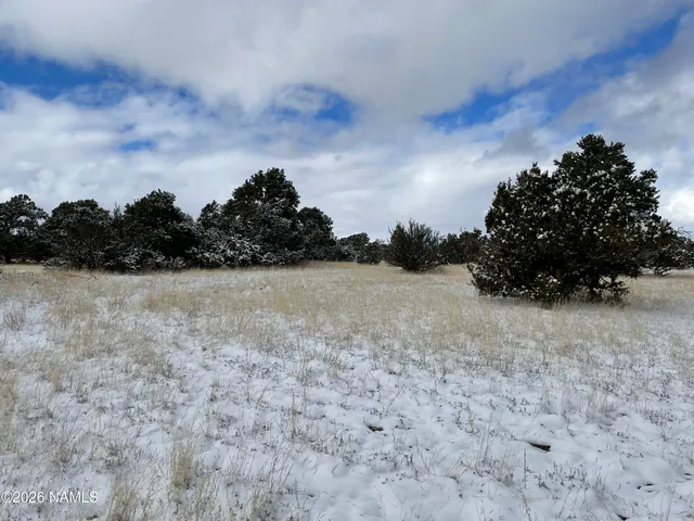 a view of a covered with snow in the background