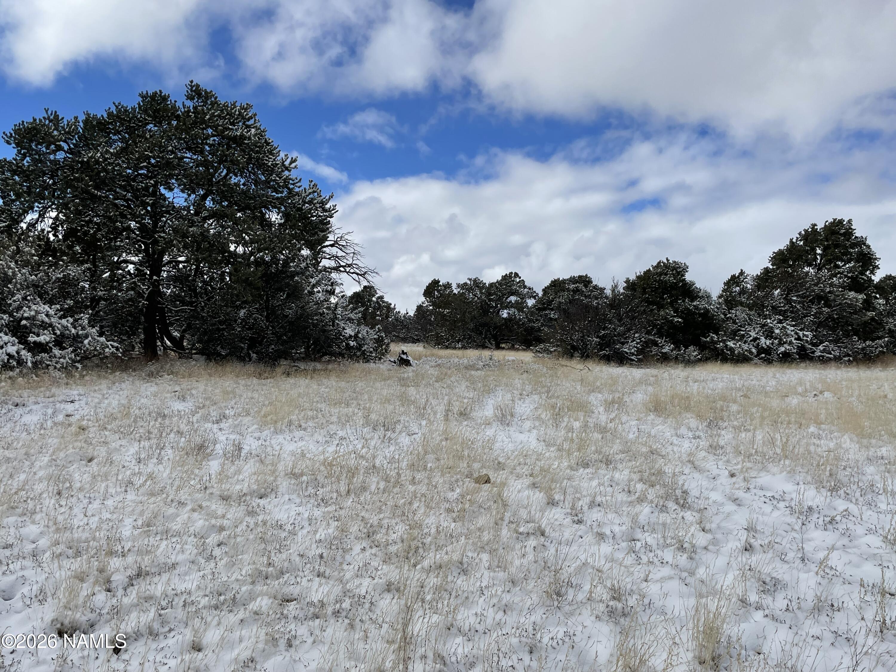 13537 Bly Station Road Williams, AZ 86046 - Photo 16 of 51 a view of basketball court