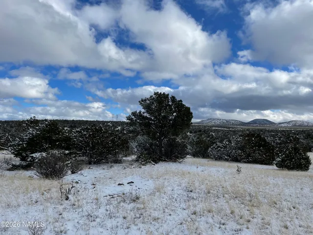 a view of a dry yard covered with snow