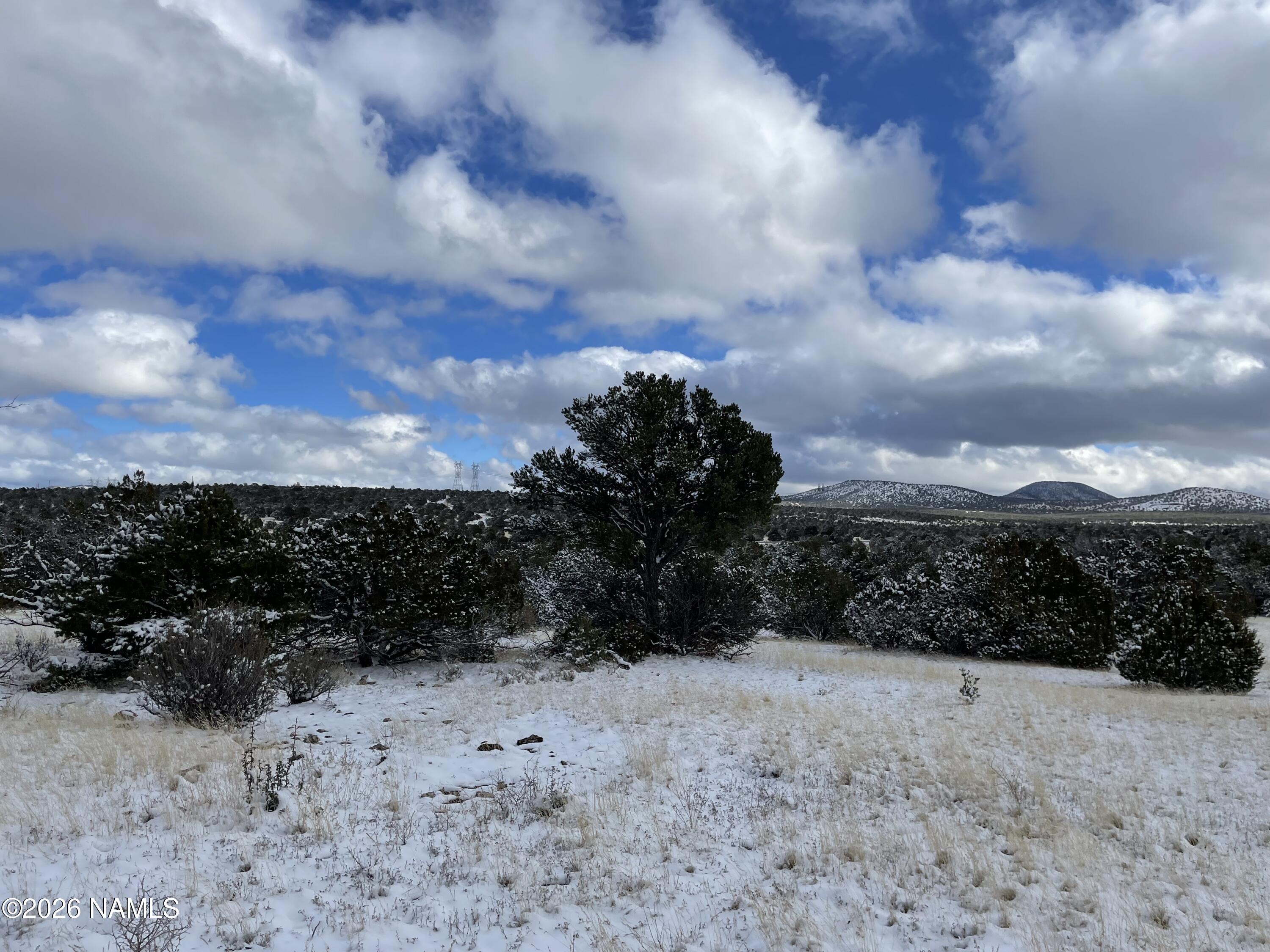 13537 Bly Station Road Williams, AZ 86046 - Photo 24 of 51 a view of outdoor space and mountain view