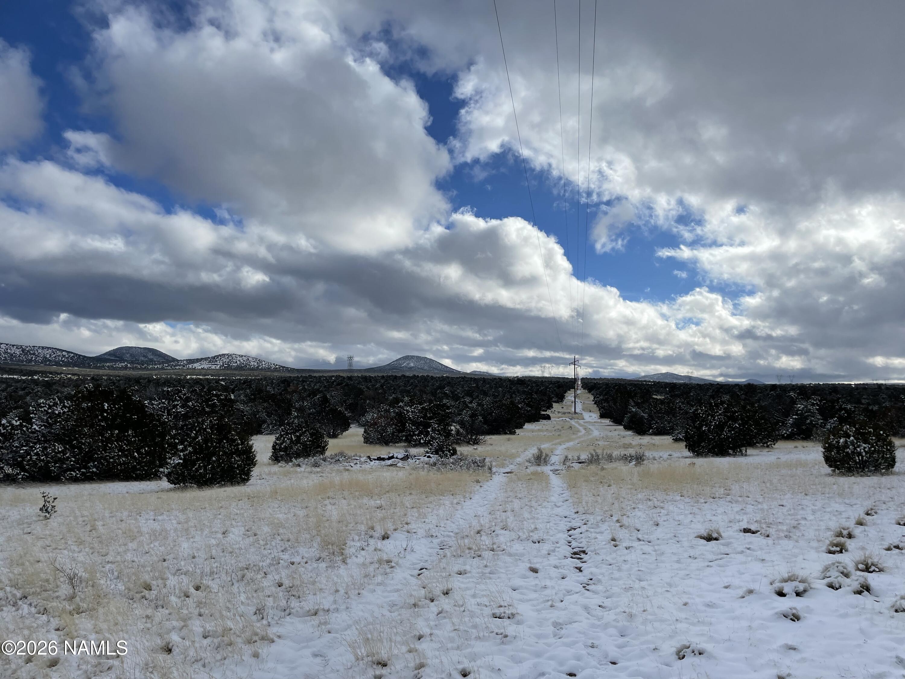 13537 Bly Station Road Williams, AZ 86046 - Photo 26 of 51 a view of a dry yard covered with snow