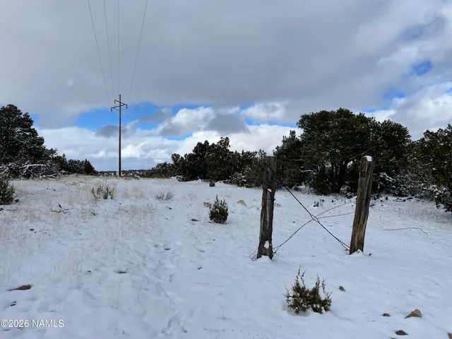 a view of a covered with snow in the background