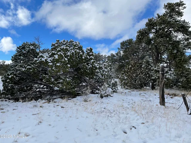 a view of a snow on the beach