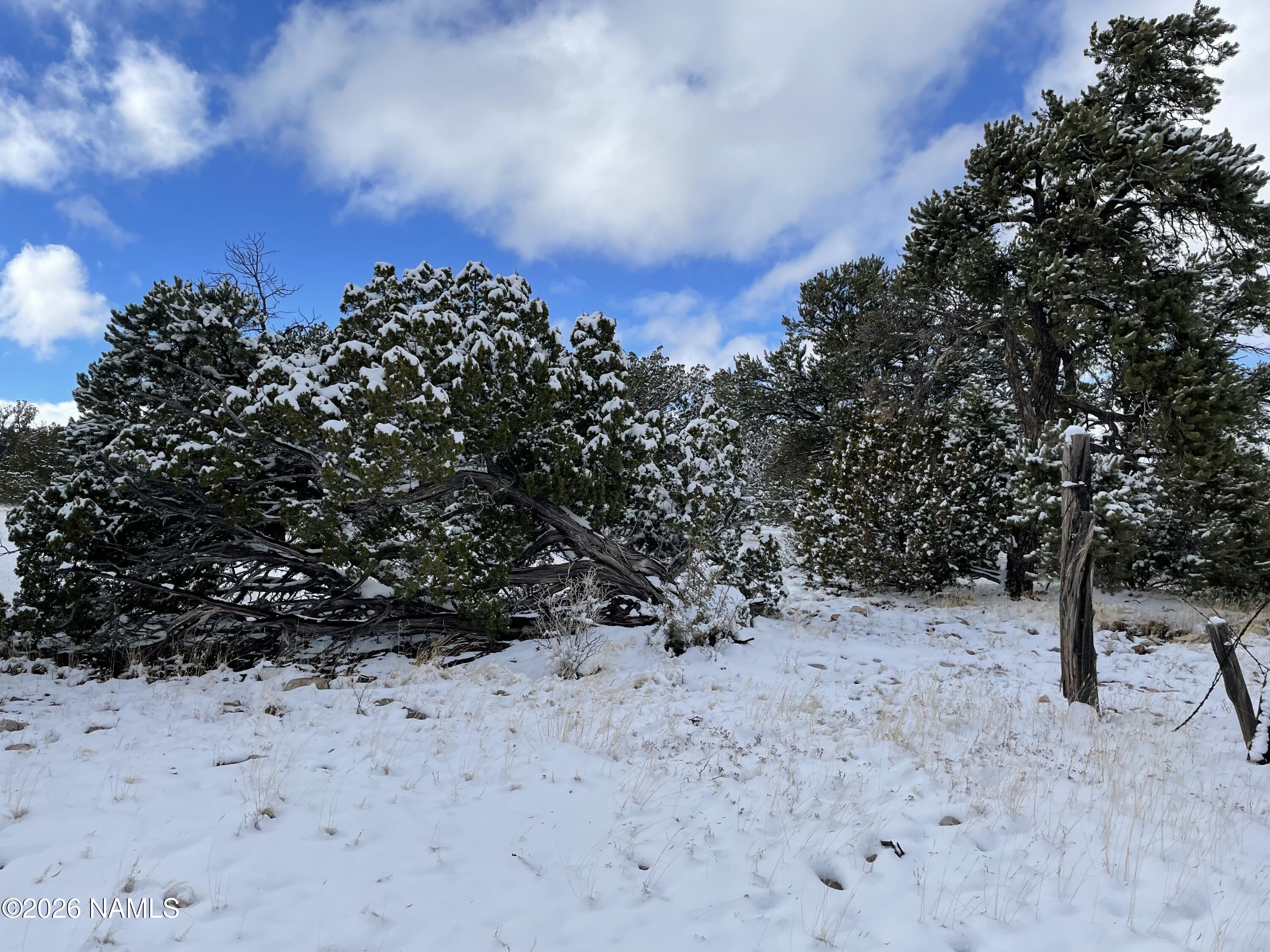 13537 Bly Station Road Williams, AZ 86046 - Photo 30 of 51 a view of a covered with snow in the background