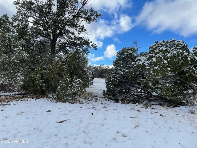 a view of lake and mountain view