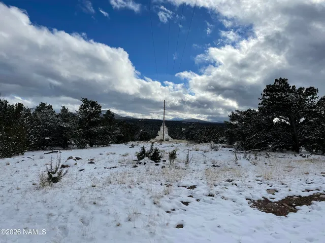 a view of a dry field with trees in the background