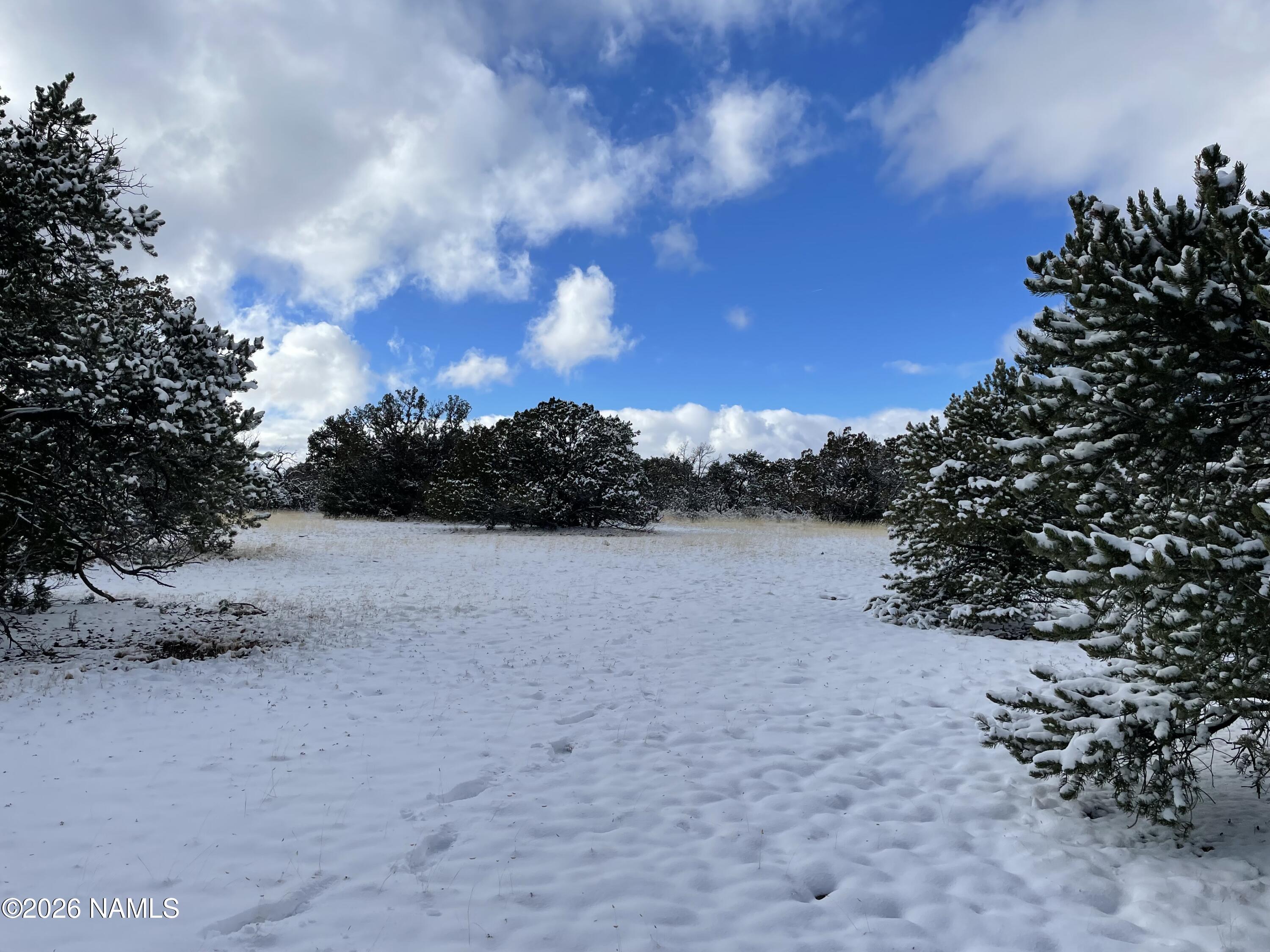 13537 Bly Station Road Williams, AZ 86046 - Photo 33 of 51 a view of lake and mountain view