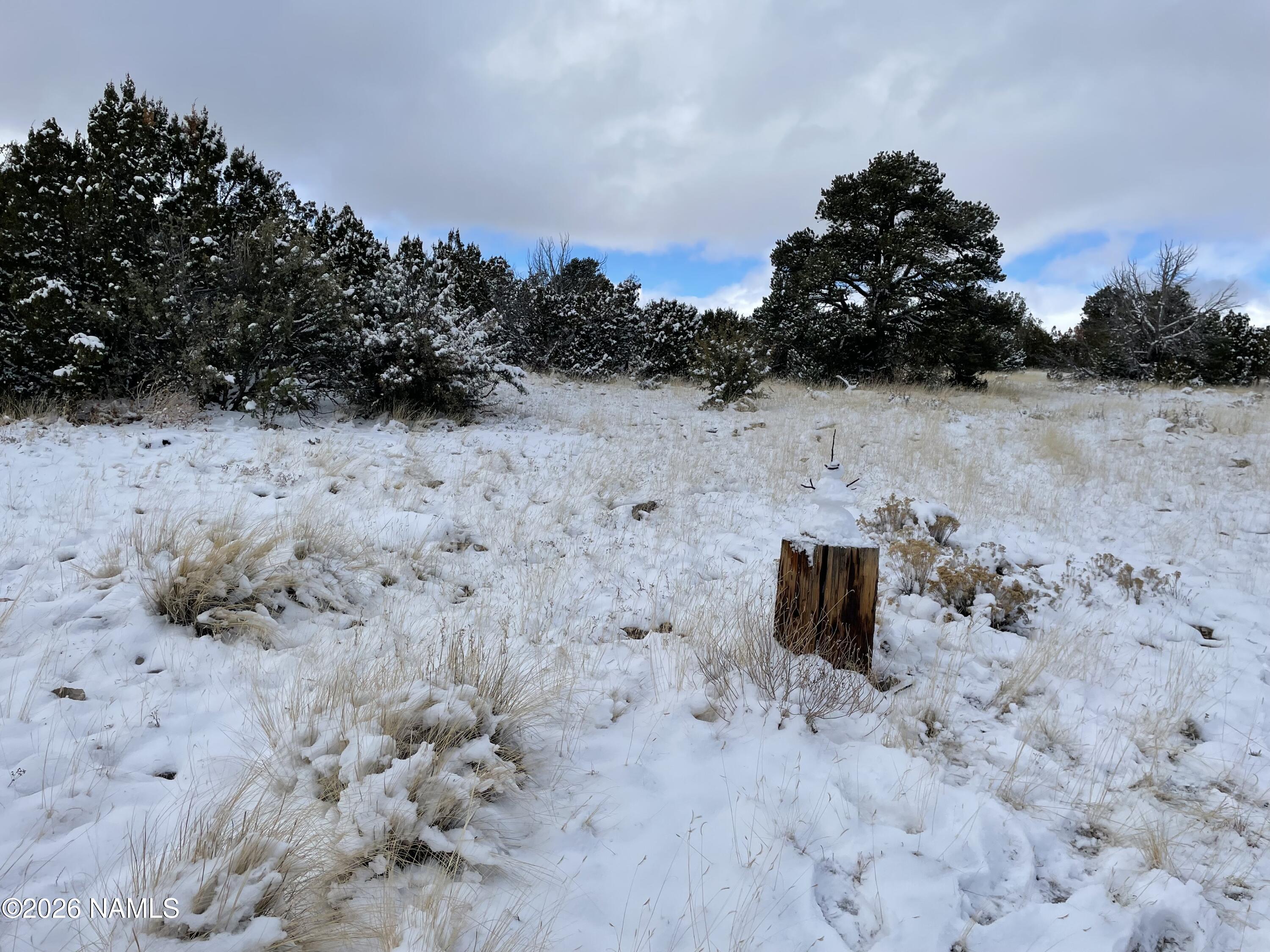13537 Bly Station Road Williams, AZ 86046 - Photo 34 of 51 a view of a dry field with trees in the background