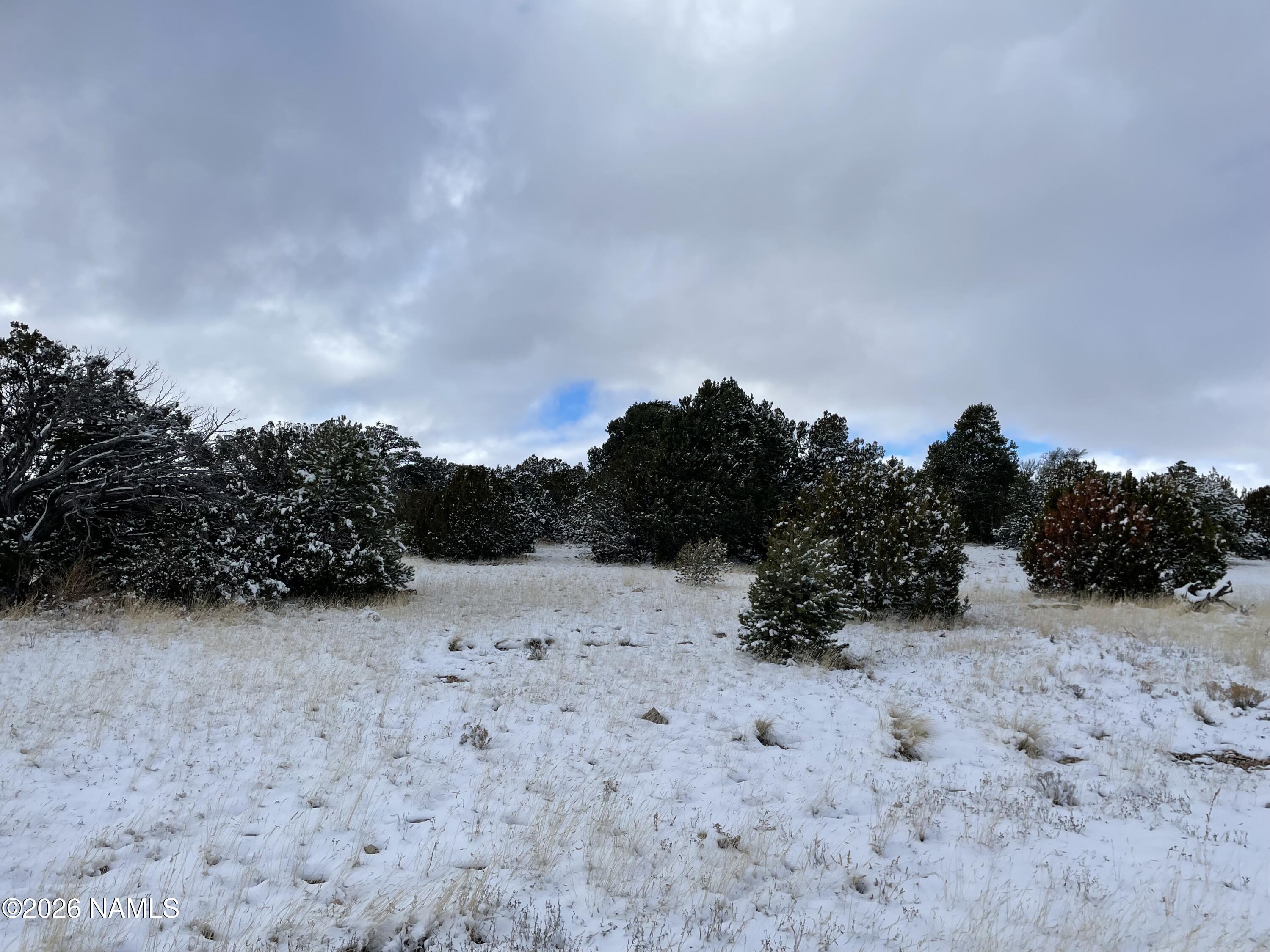13537 Bly Station Road Williams, AZ 86046 - Photo 35 of 51 a view of dirt field with trees in background
