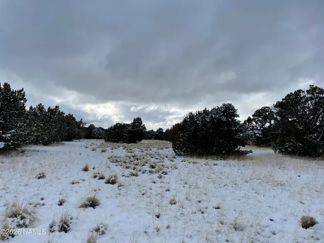 a view of a sky view of back yard of the house