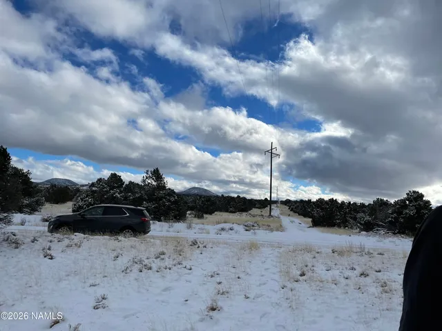 a view of a yard with a tree in the background