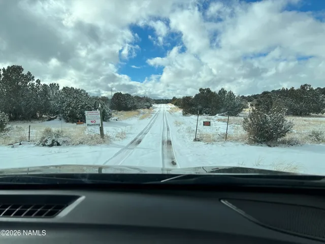 a view of swimming pool from a window