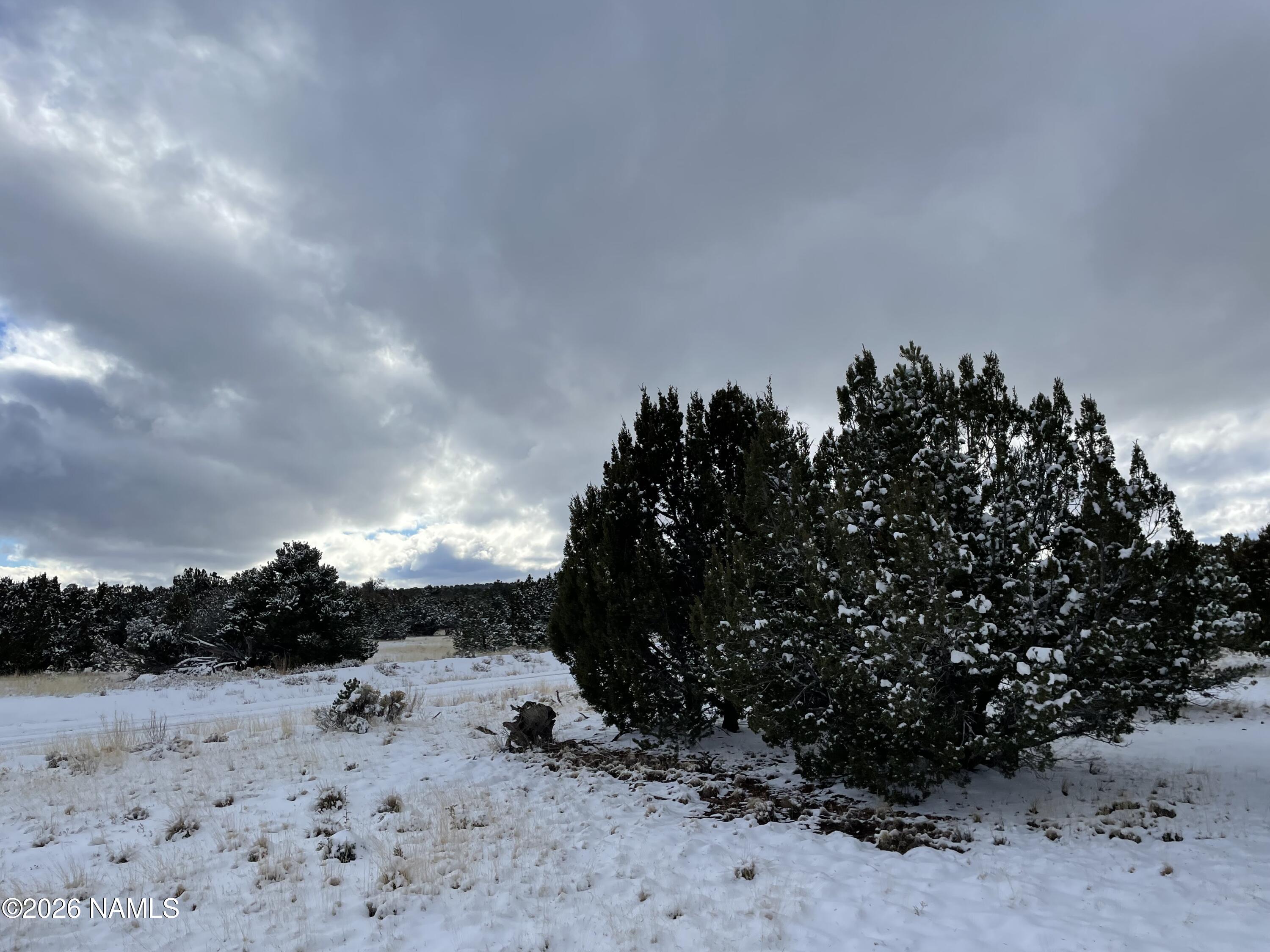 13537 Bly Station Road Williams, AZ 86046 - Photo 41 of 51 a view of roof with tree in back
