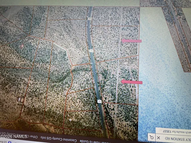 a view of a dry yard with trees and stairs