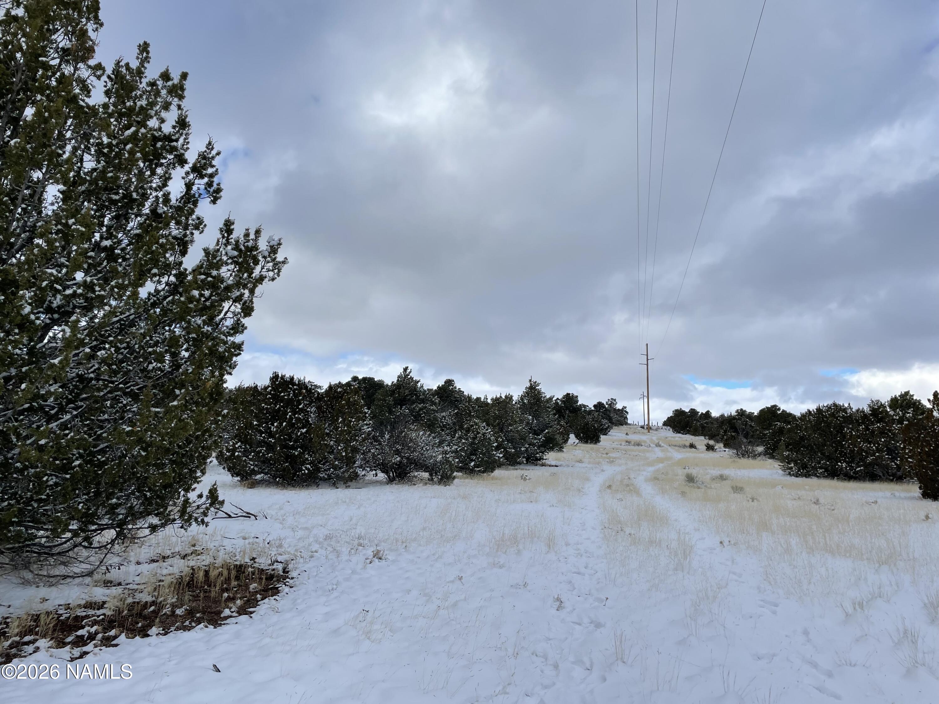 13537 Bly Station Road Williams, AZ 86046 - Photo 45 of 51 a view of beach and yard