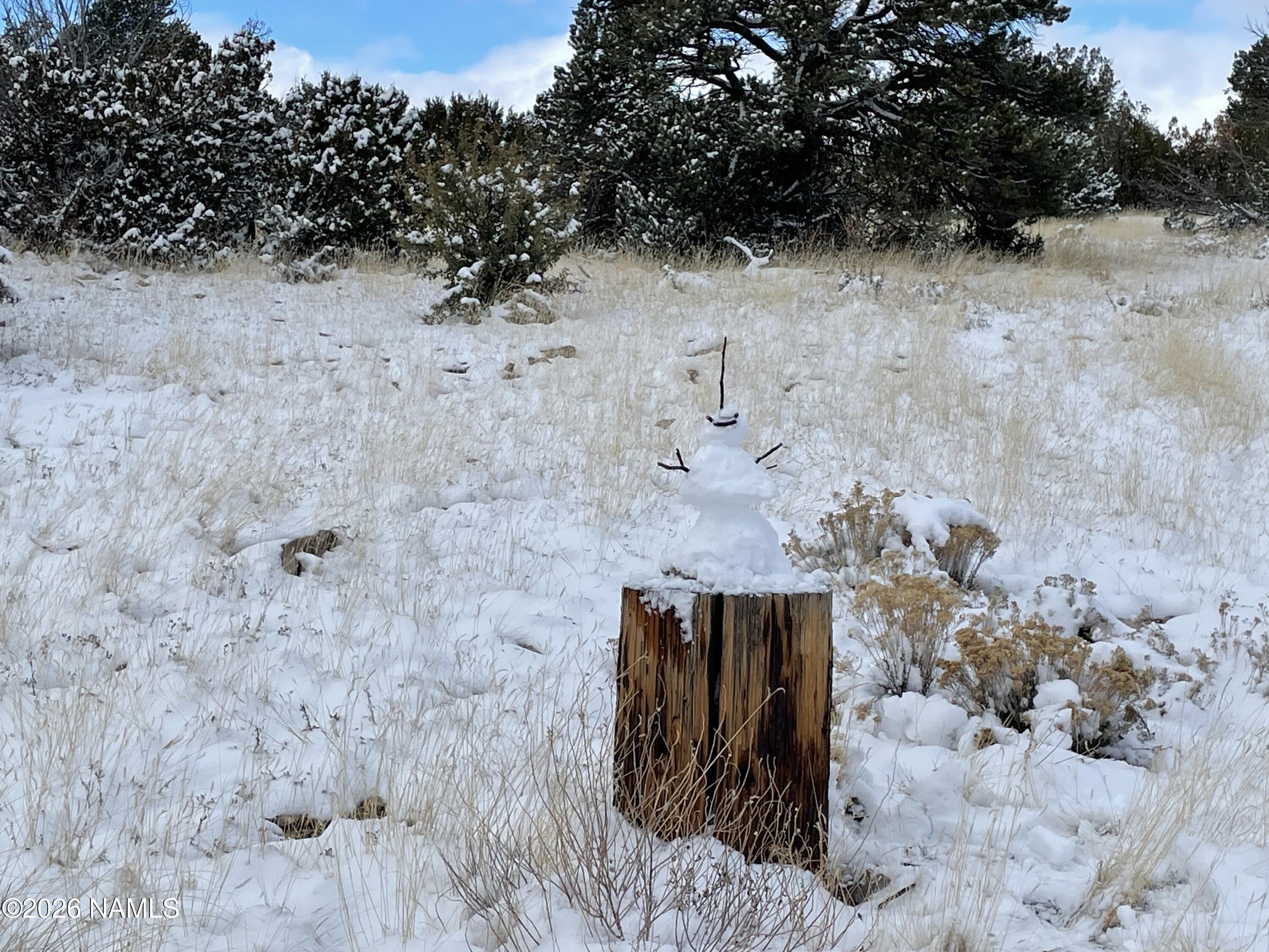 13537 Bly Station Road Williams, AZ 86046 - Photo 48 of 51 a view of outdoor space kitchen