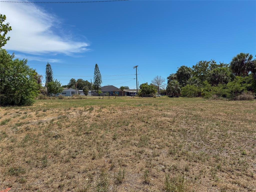 601 Flamingo Drive Apollo Beach, FL 33572 - Photo 13 of 15 a view of a field with trees in background