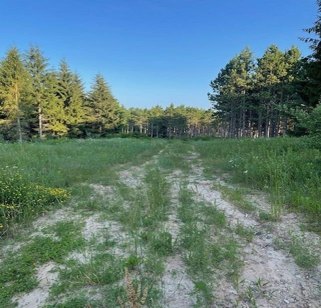 0 East Stockwell Road Harrison, MI 48625 - Photo 16 of 34