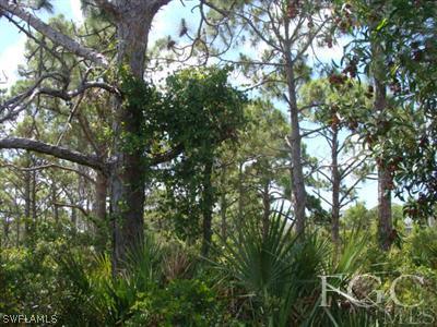 6820 Stringfellow Road St. James City, FL 33956 - Photo 4 of 8 Gallery Image 4