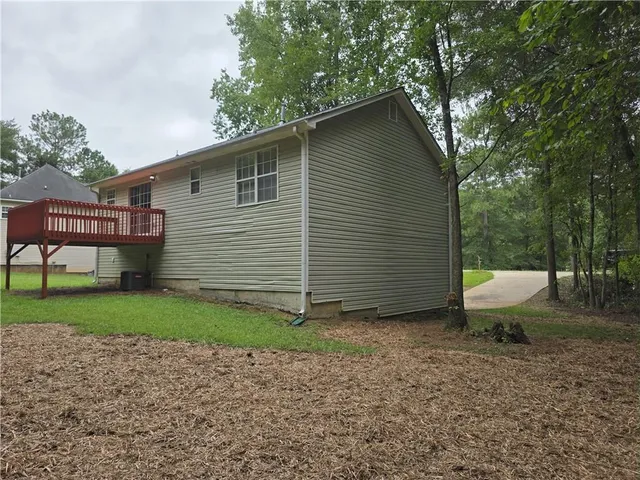 a view of a backyard with plants and large tree