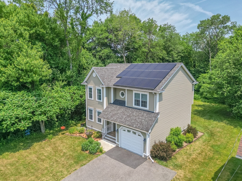 247 Cabinet Street Springfield, MA 01129 - Photo 3 of 40 aerial view of a house with a yard potted plants and large tree