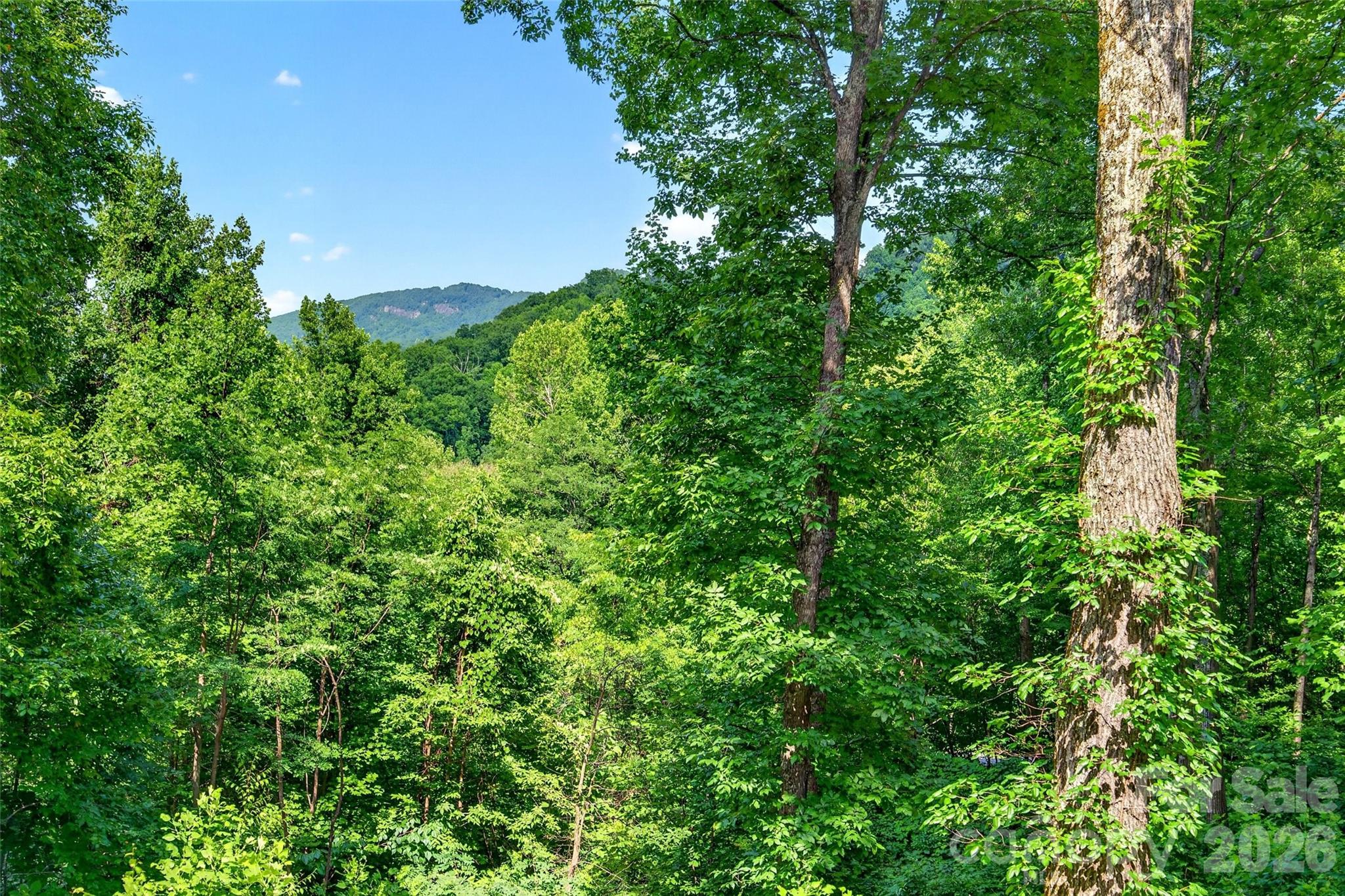 771 Sally Gap Road Old Fort, NC 28762 - Photo 11 of 48