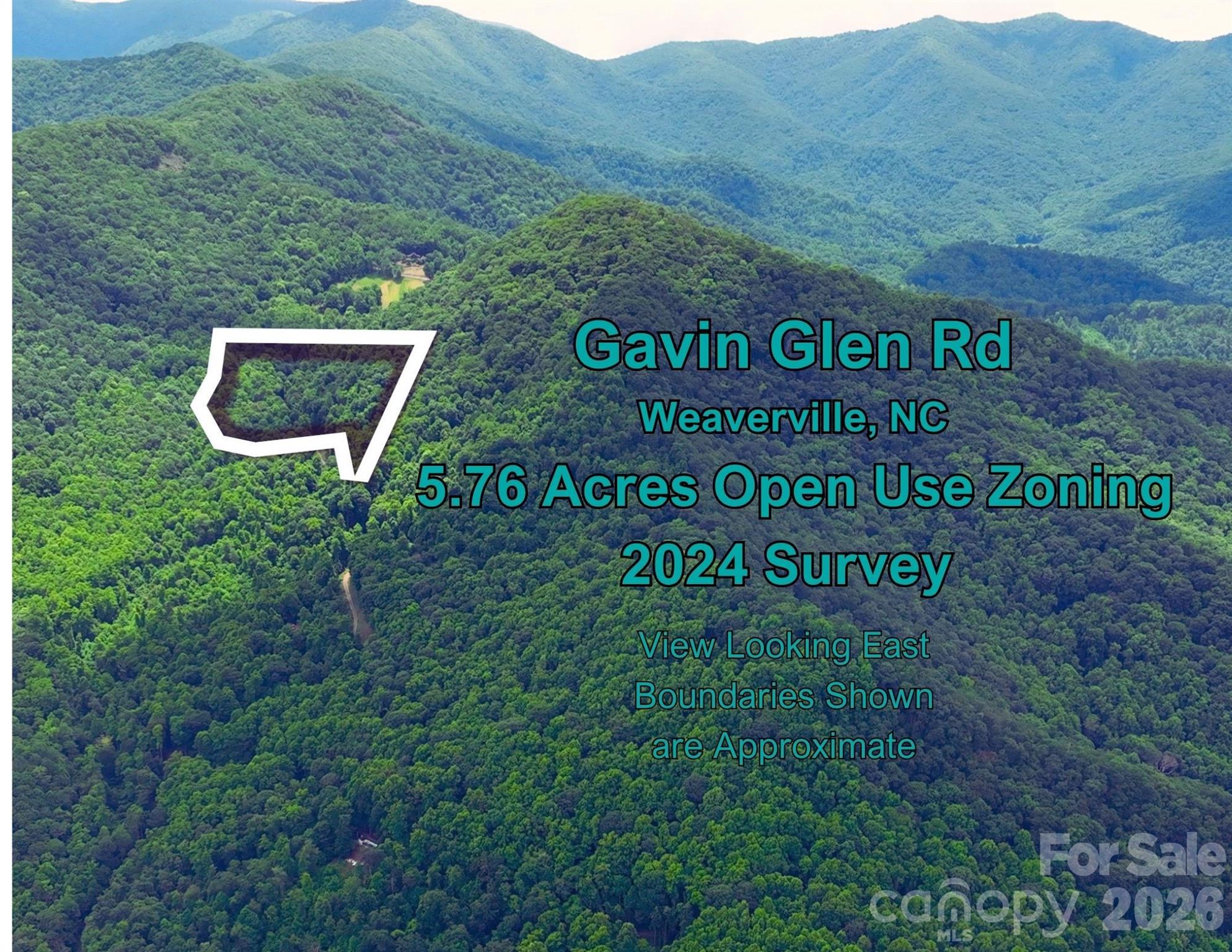 130 Gavin Glenn Road Barnardsville, NC 28709 - Photo 1 of 18