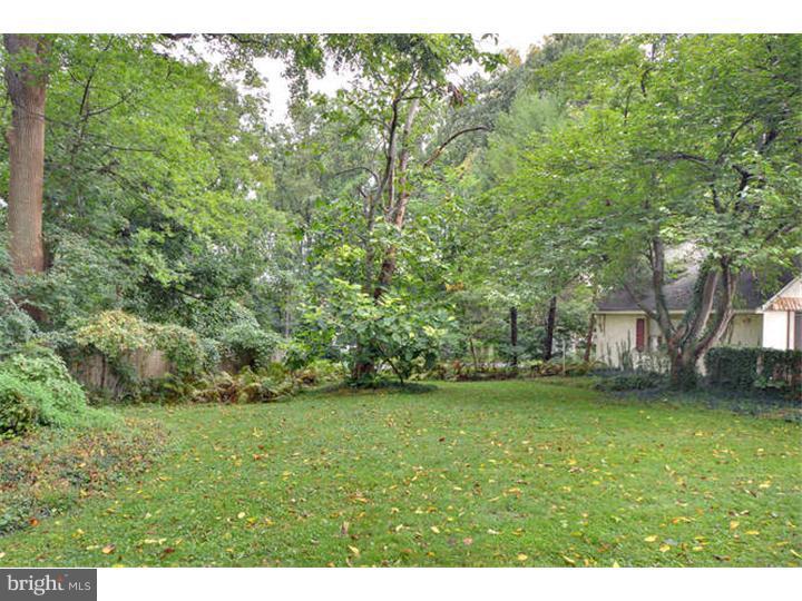 1208 Old Lancaster Road Berwyn, PA 19312 - Photo 14 of 14 Back Yard