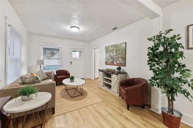 a living room with furniture a potted plant and a lamp