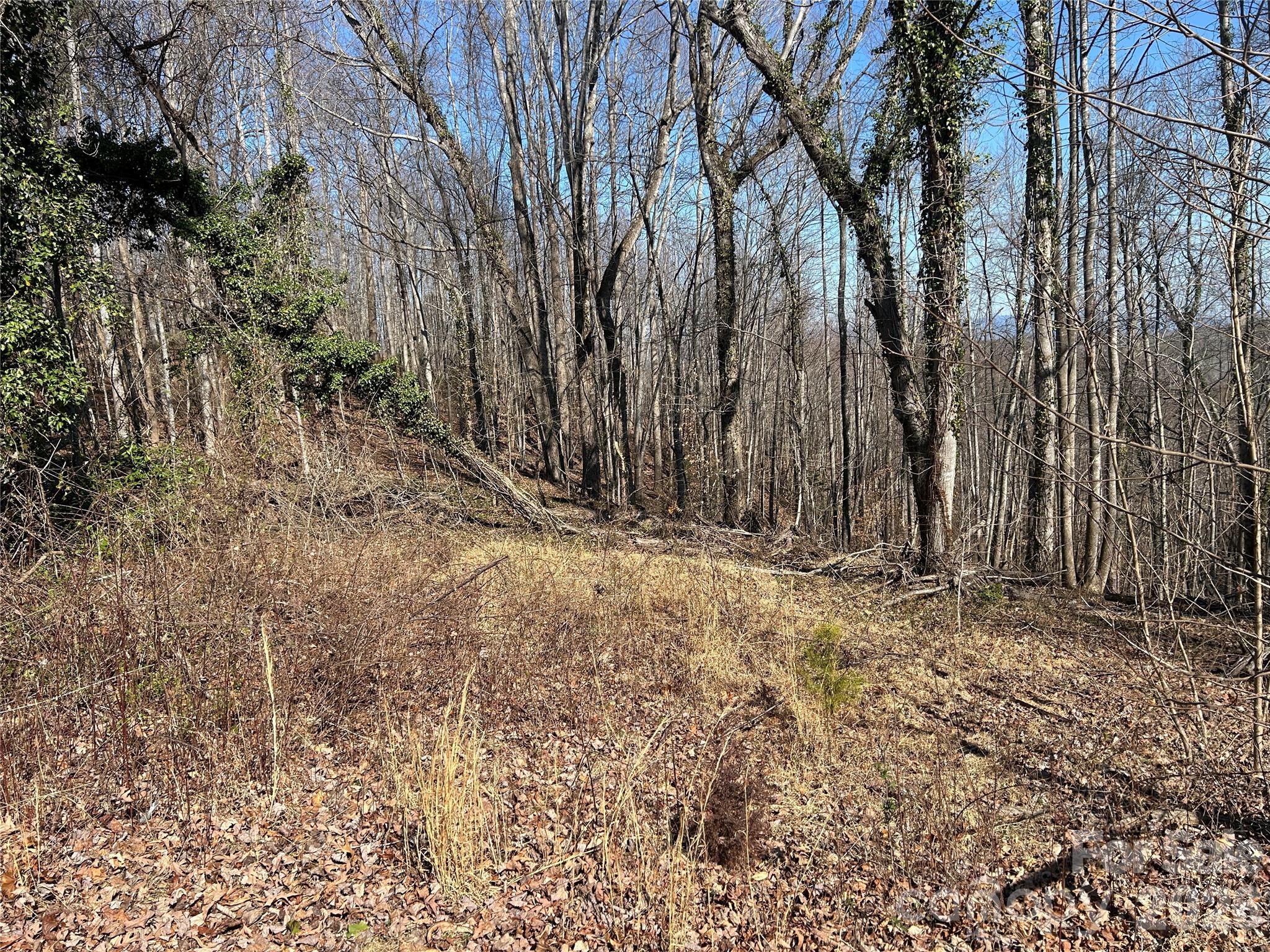 859 Stacy Hill Road Marion, NC 28752 - Photo 22 of 23 a view of large yard with trees