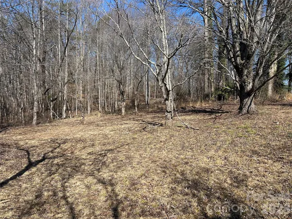 a backyard of a house with large trees