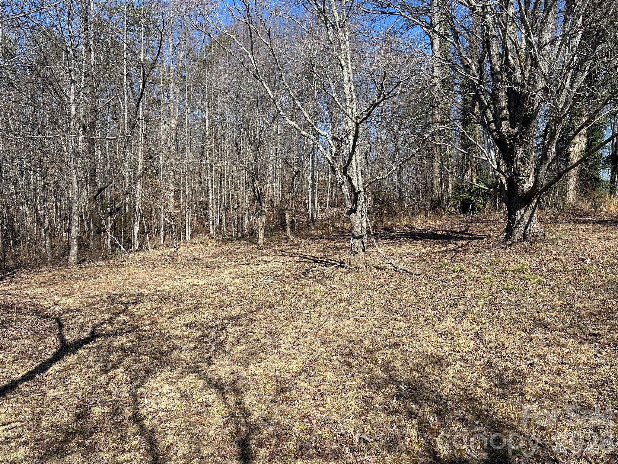 859 Stacy Hill Road Marion, NC 28752 - Photo 23 of 23 a backyard of a house with large trees