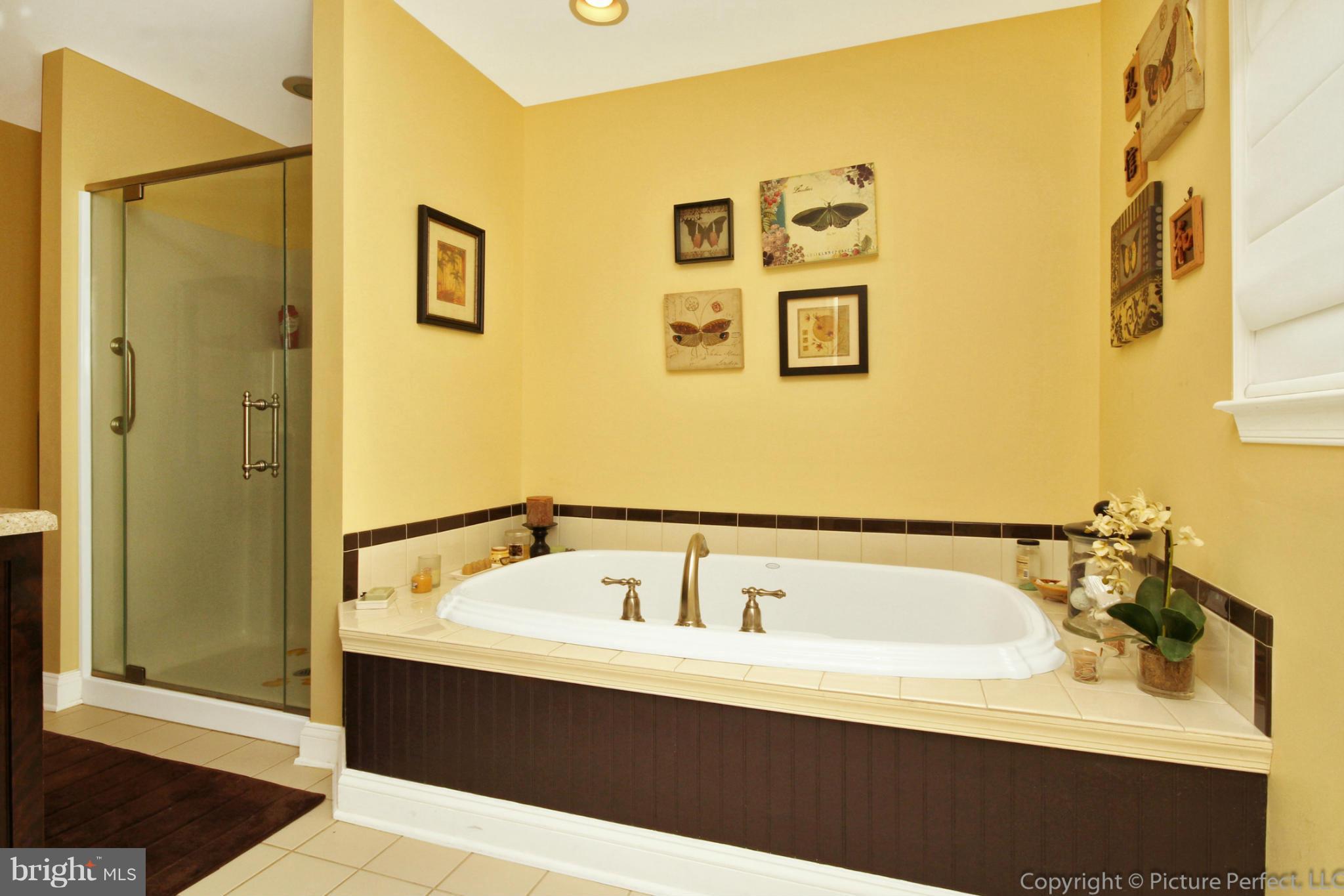 3904 Sundown Road Brookeville, MD 20882 - Photo 23 of 30 Bath (Master)