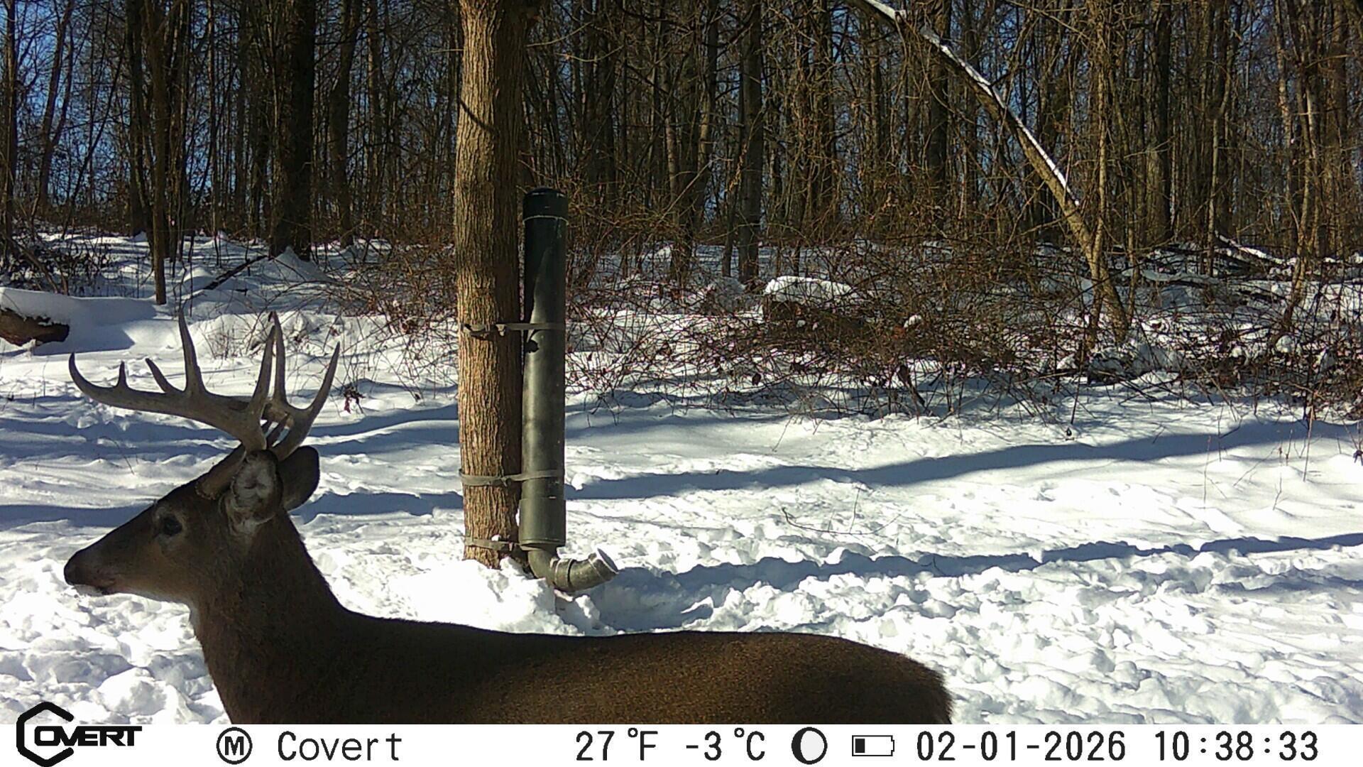 10050 Perryton Road Frazeysburg, OH 43822 - Photo 47 of 47 Deer cam 2 Perryton Rd