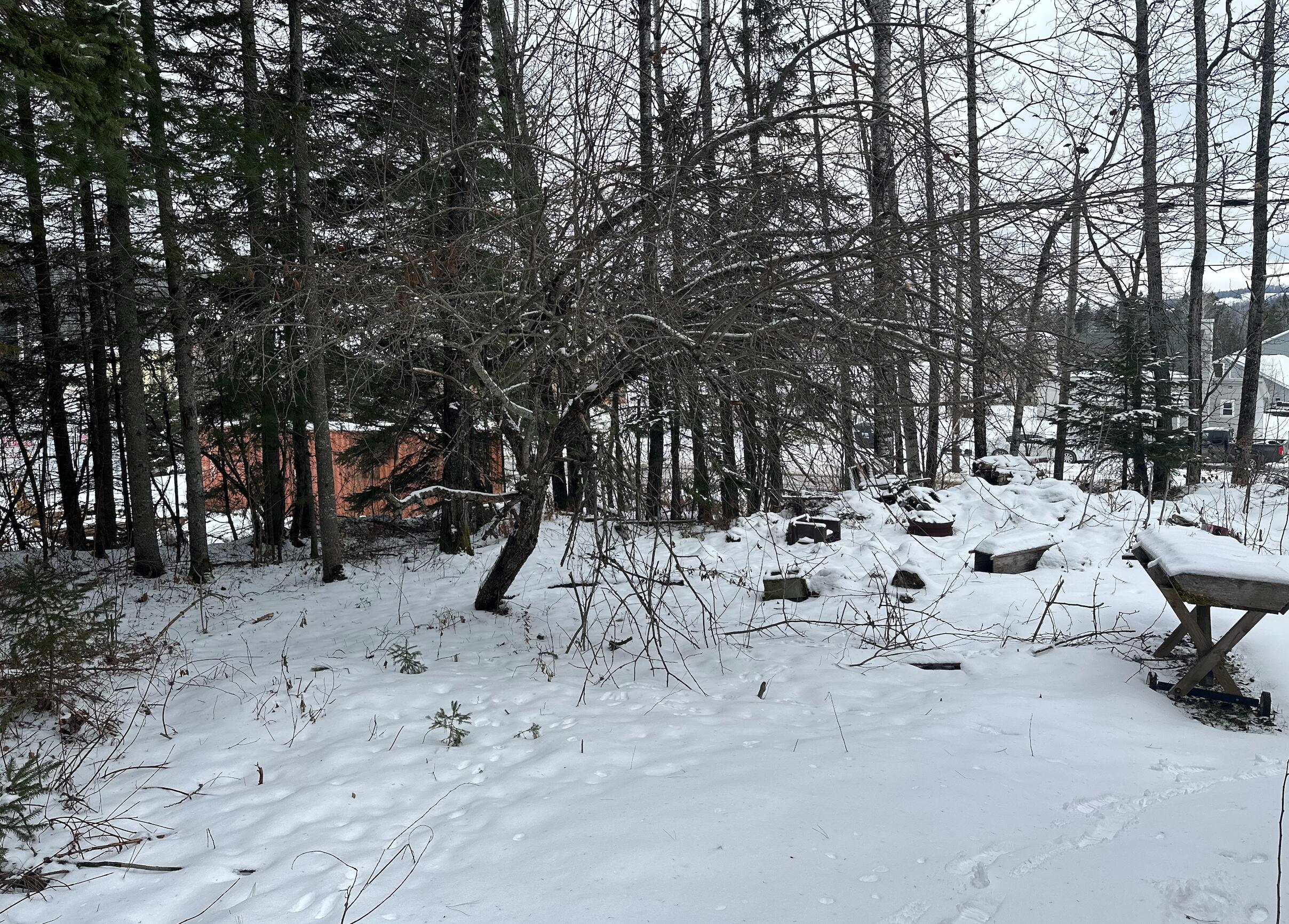 25 South Perley Brook Road Fort Kent, ME 04743 - Photo 9 of 41 Screen Shot 2024-02-11 at 3.56.34 PM