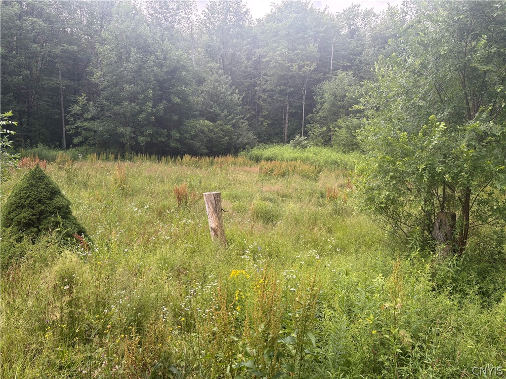 215 County Rte 22 Parish, NY 13131 - Photo 5 of 14