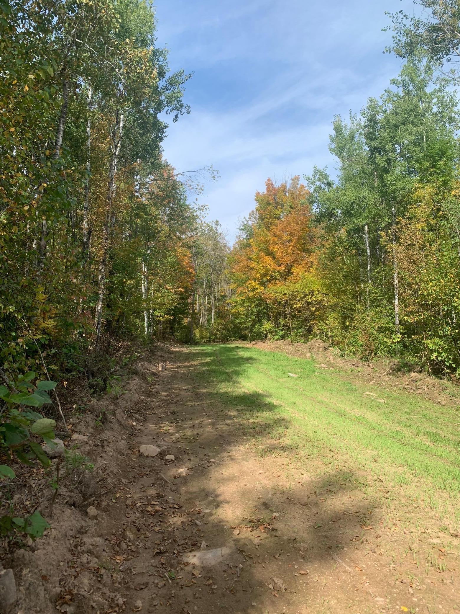 2 Dairyland Wi 54830 Danbury, WI 54830 - Photo 4 of 5