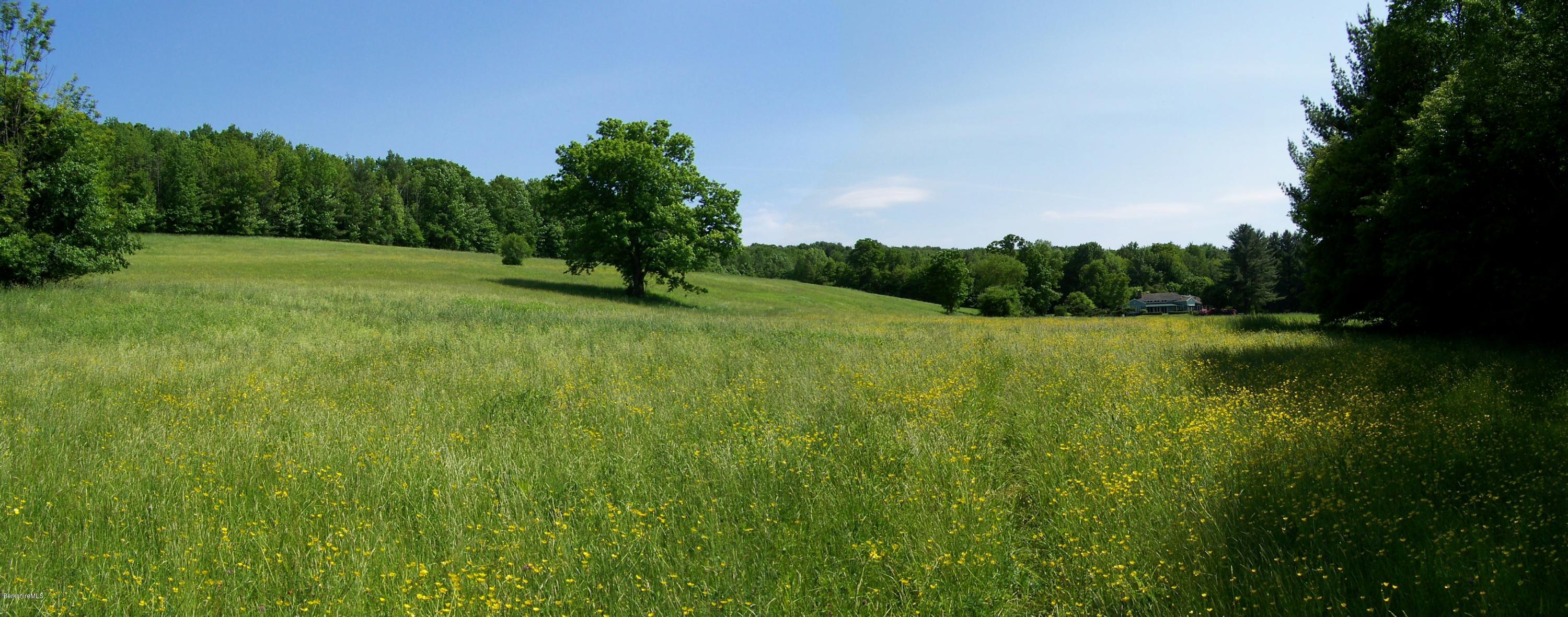 912 Cold Spring Road Williamstown, MA 01267 - Photo 30 of 36 panorama from field