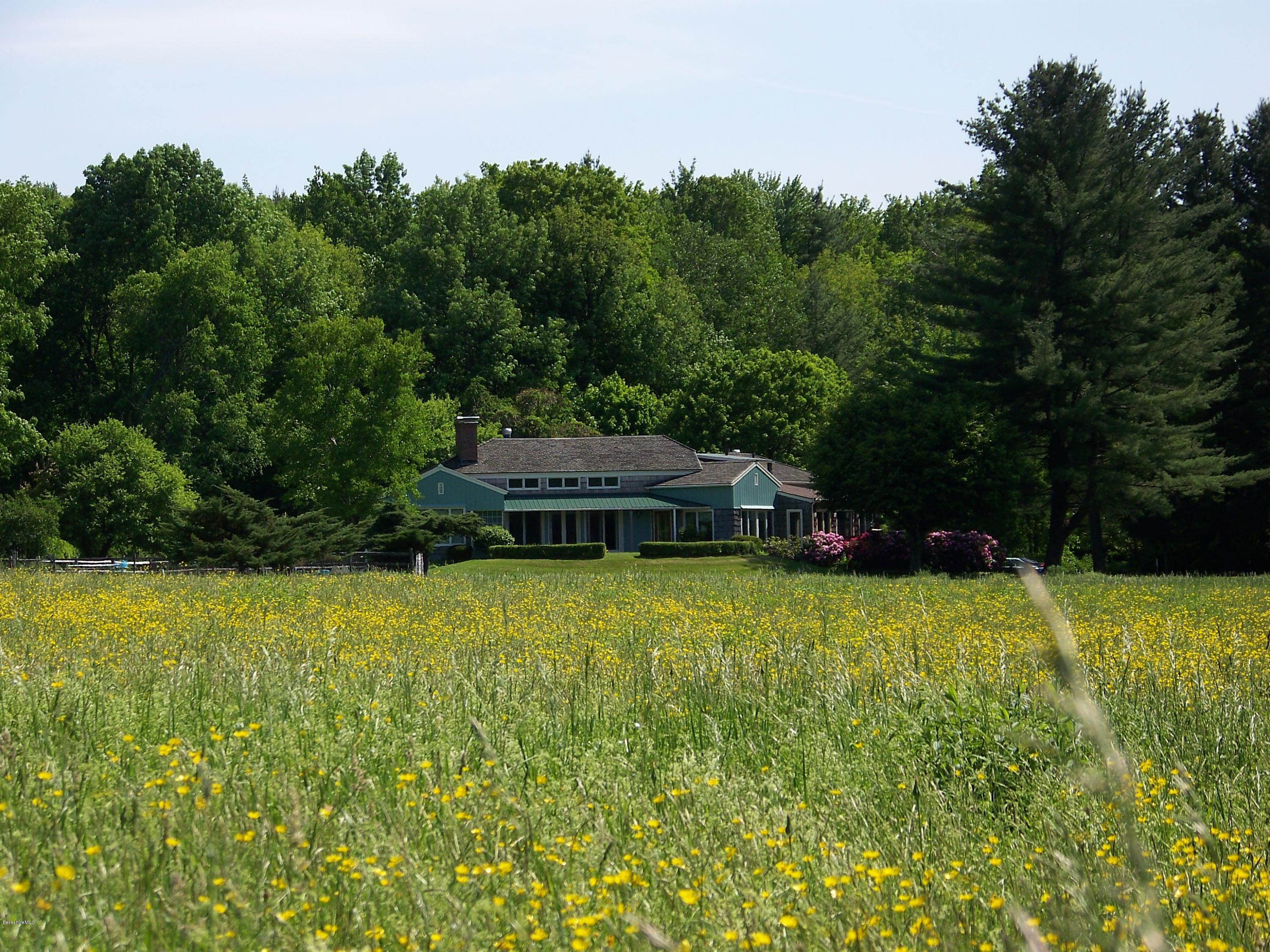 912 Cold Spring Road Williamstown, MA 01267 - Photo 32 of 36 view from field with flowers