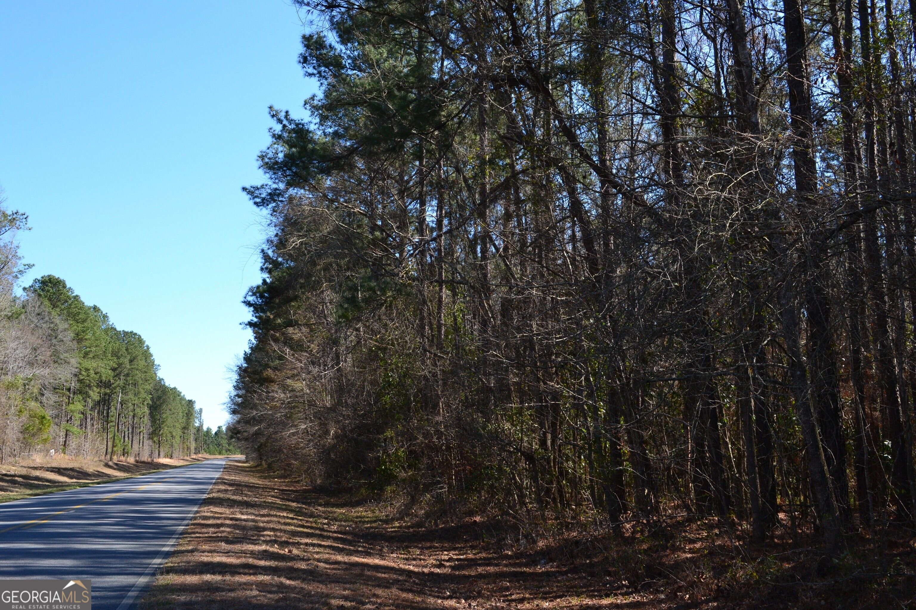 0 Mark Wood Road Dexter, GA 31019 - Photo 1 of 8 Gallery Image 1