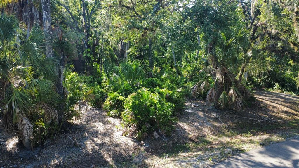 4632 Stone Ridge Trail Sarasota, FL 34232 - Photo 9 of 15 a backyard of a house with lots of green space