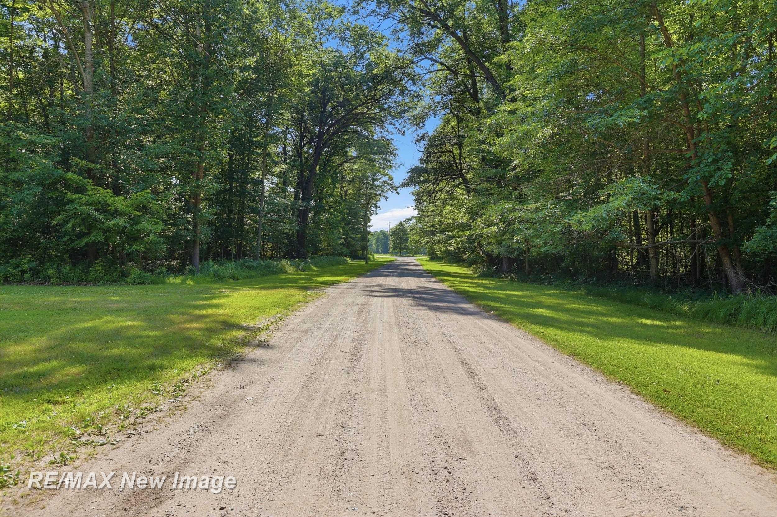 133 North Magruder Road Shepherd, MI 48883 - Photo 4 of 32