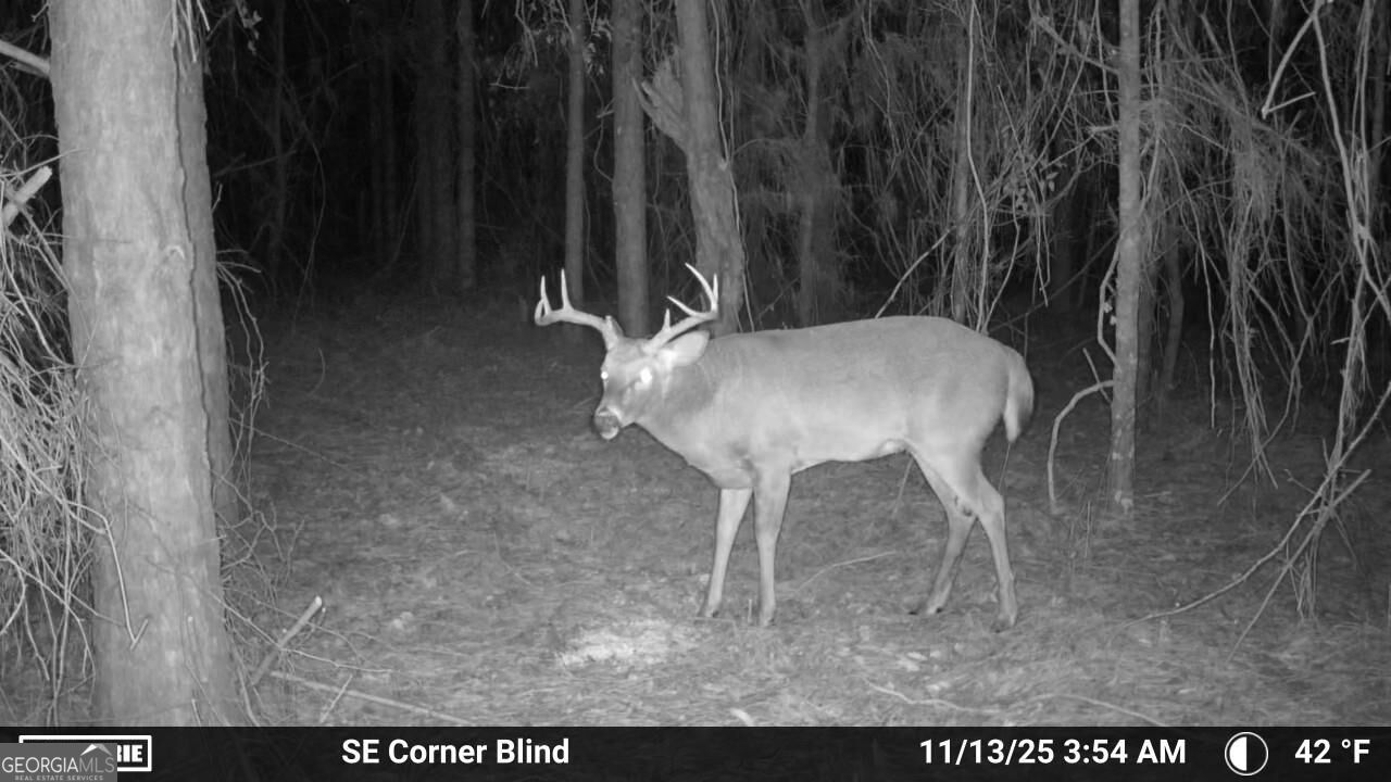0 Sam Bradley Road Americus, GA 31709 - Photo 32 of 37 Gallery Image 32
