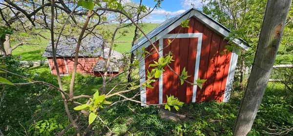 $446,900 | 16128 331st Avenue, Harmony, MN 55939