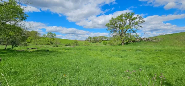 $446,900 | 16128 331st Avenue, Harmony, MN 55939